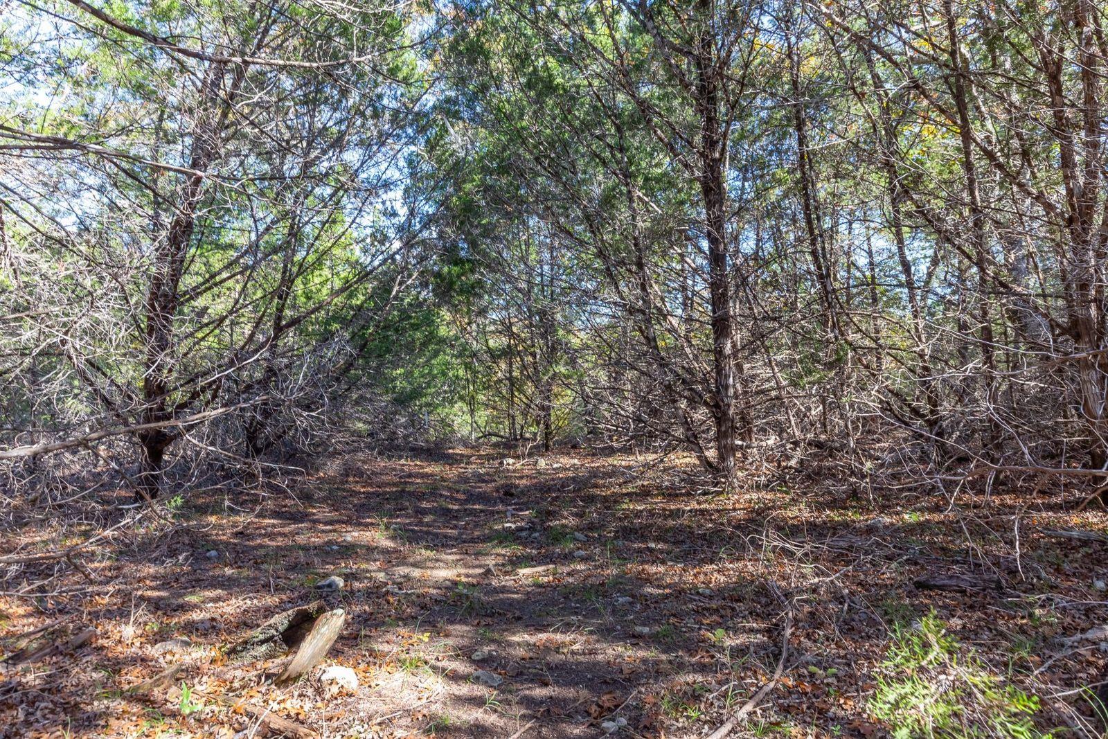 Lot 101 Montana Creek Crossing Marble Falls TX 78654