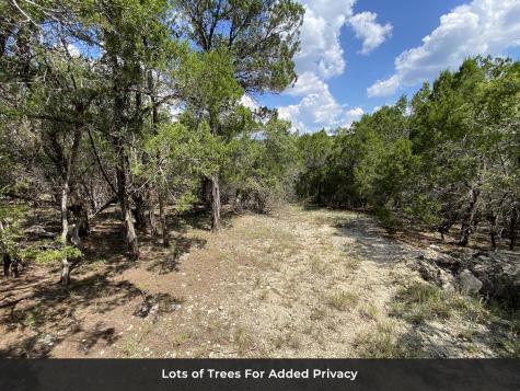 19201 W Reed Parks Road Jonestown TX 78645