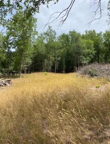 108 W Kikipua Lane Bastrop TX 78602
