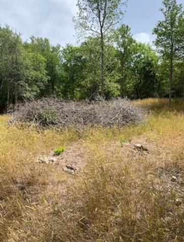 108 W Kikipua Lane Bastrop TX 78602