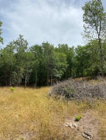 108 W Kikipua Lane Bastrop TX 78602