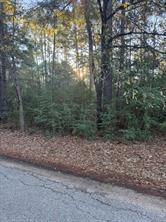 107 Lake Point Way Bastrop TX 78602