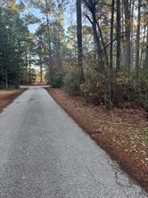 107 Lake Point Way Bastrop TX 78602