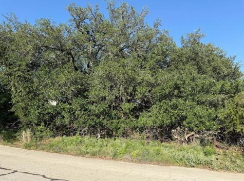 4209 Rockwood Drive Lago Vista TX 78645