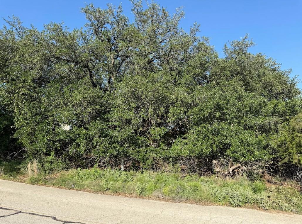 4209 Rockwood Drive Lago Vista TX 78645