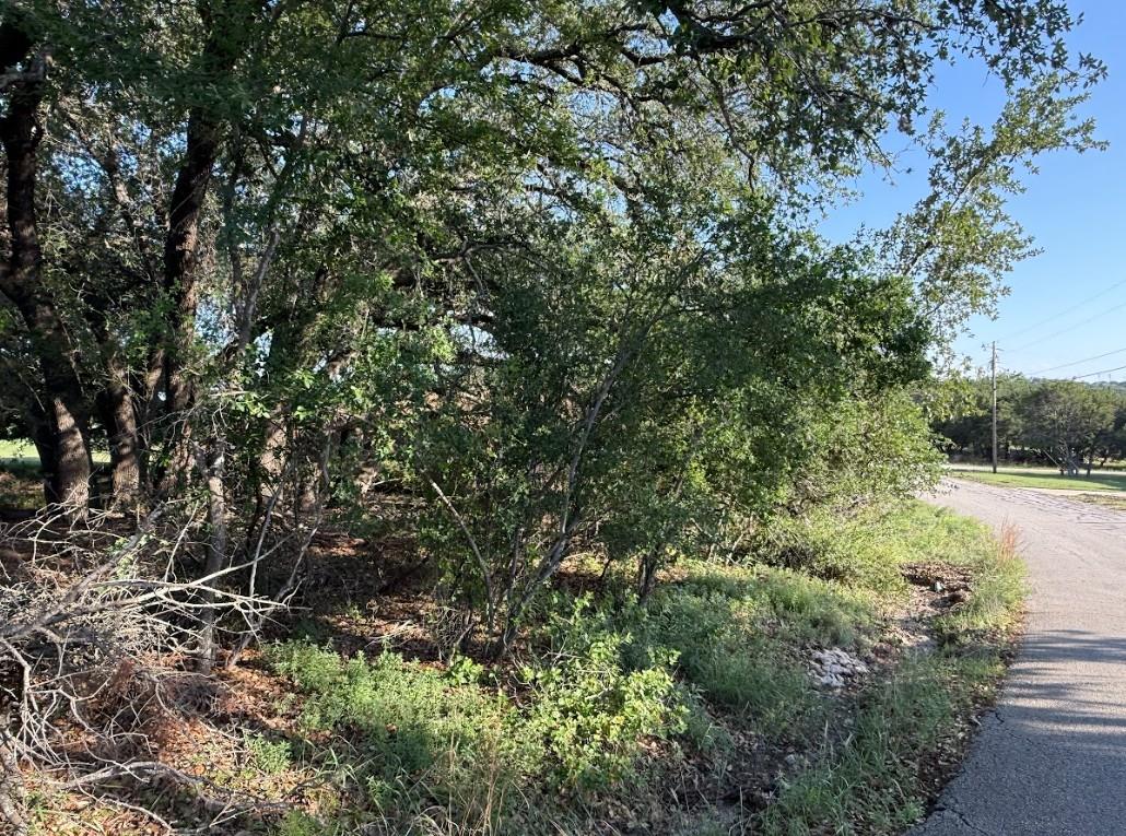 4209 Rockwood Drive Lago Vista TX 78645