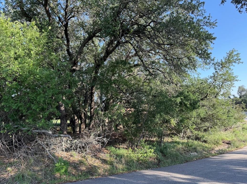 4209 Rockwood Drive Lago Vista TX 78645