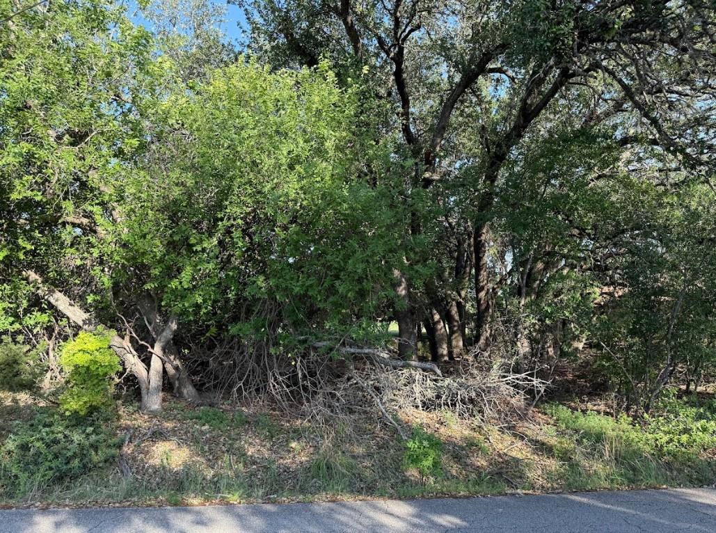 4209 Rockwood Drive Lago Vista TX 78645