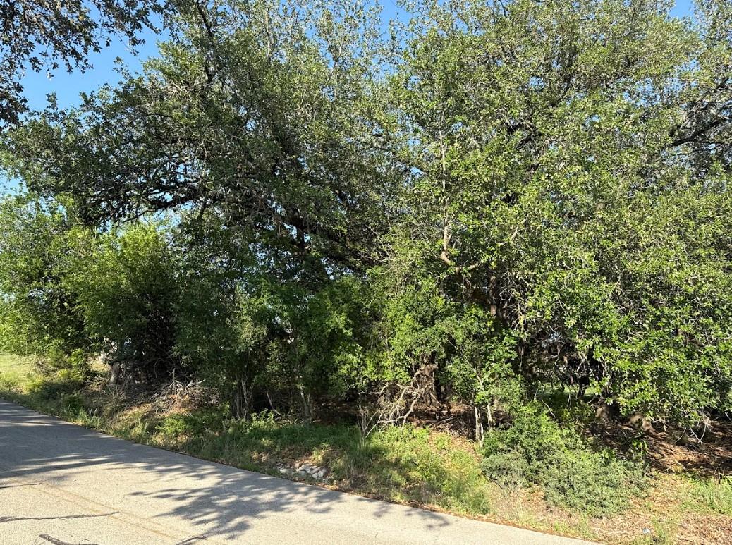 4209 Rockwood Drive Lago Vista TX 78645