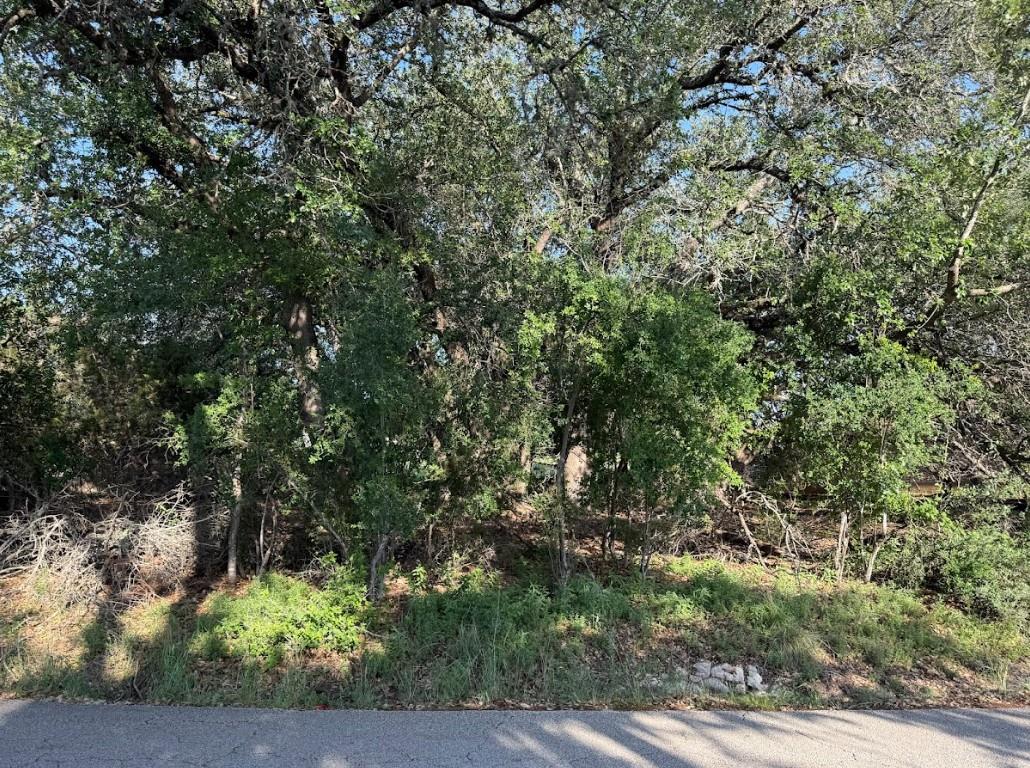 4209 Rockwood Drive Lago Vista TX 78645