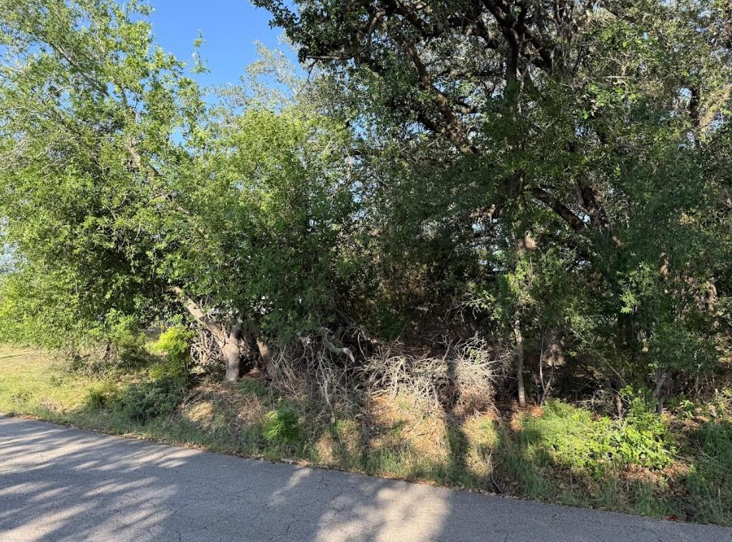 4209 Rockwood Drive Lago Vista TX 78645