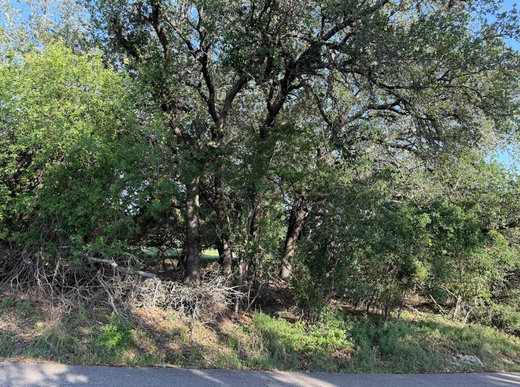 4209 Rockwood Drive Lago Vista TX 78645