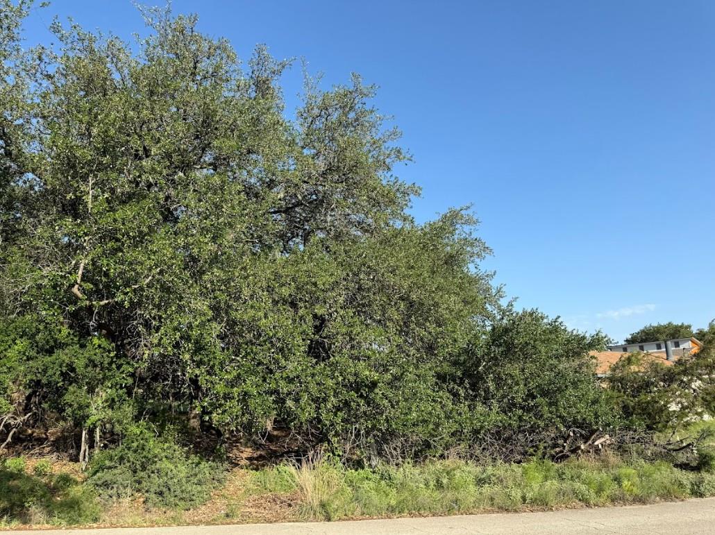 4209 Rockwood Drive Lago Vista TX 78645