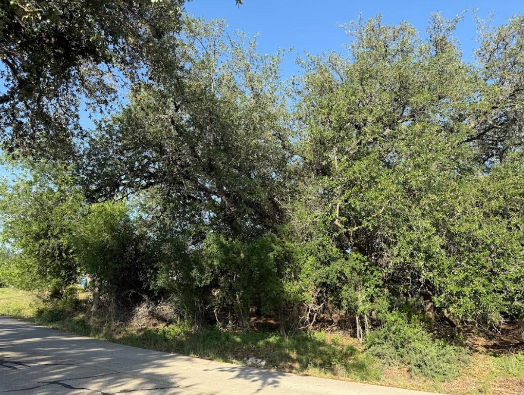 4209 Rockwood Drive Lago Vista TX 78645