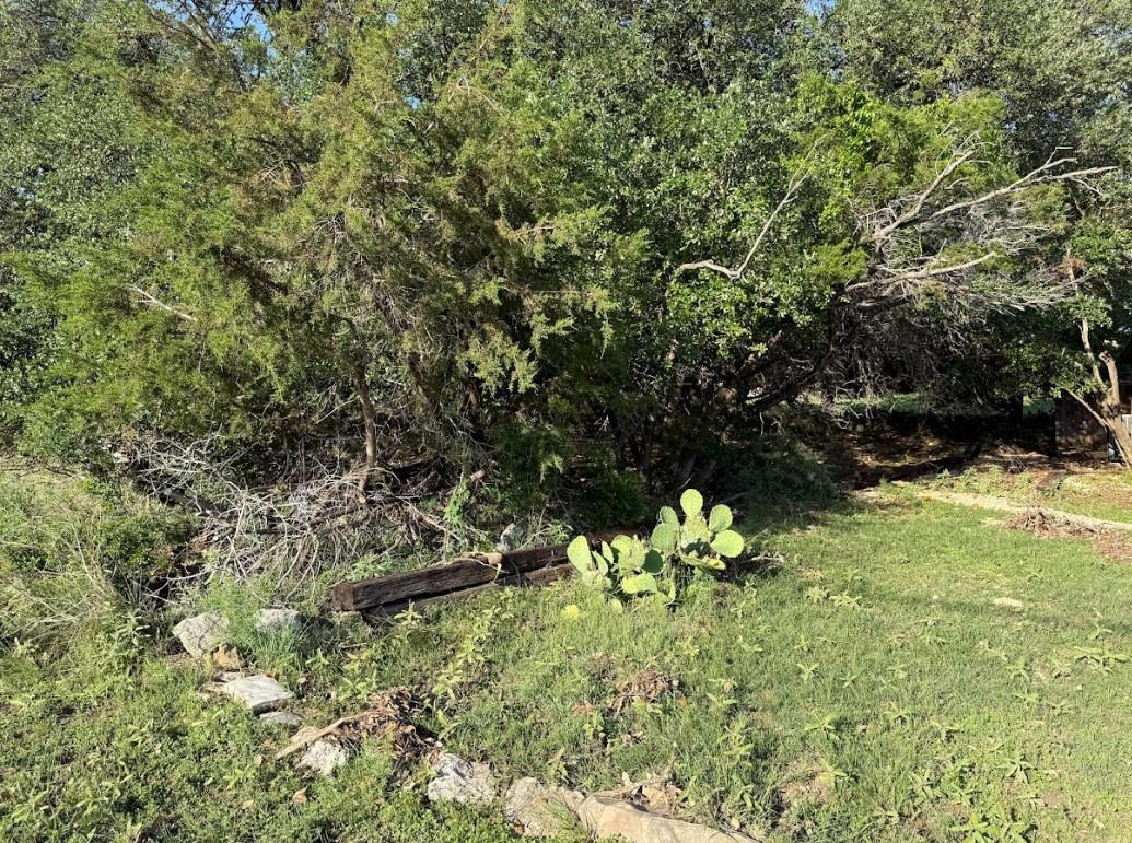 4209 Rockwood Drive Lago Vista TX 78645