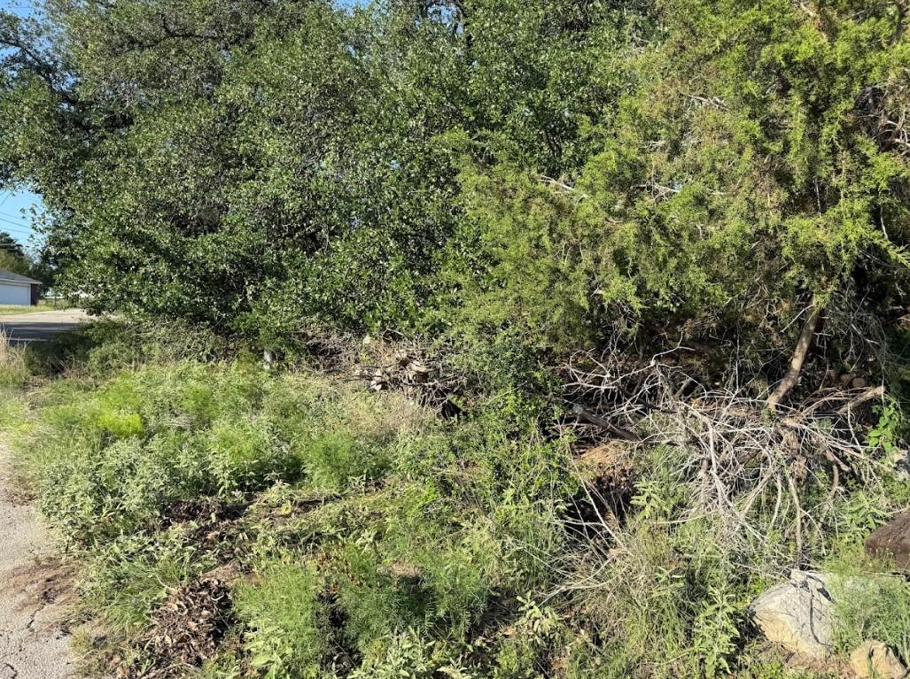 4209 Rockwood Drive Lago Vista TX 78645