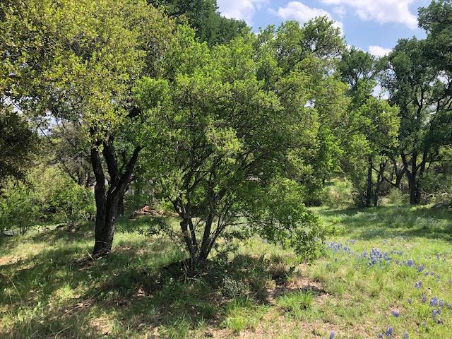 Tbd Bay West/quick Circle Horseshoe Bay TX 78657