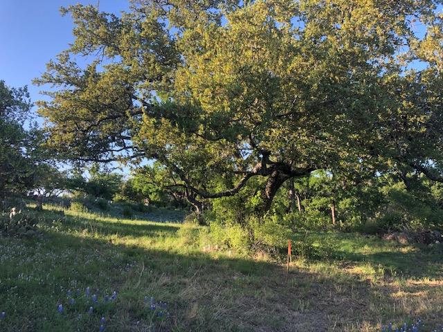 Tbd Bay West/quick Circle Horseshoe Bay TX 78657