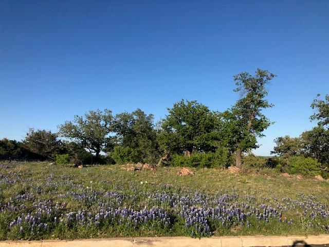 Tbd Bay West/quick Circle Horseshoe Bay TX 78657