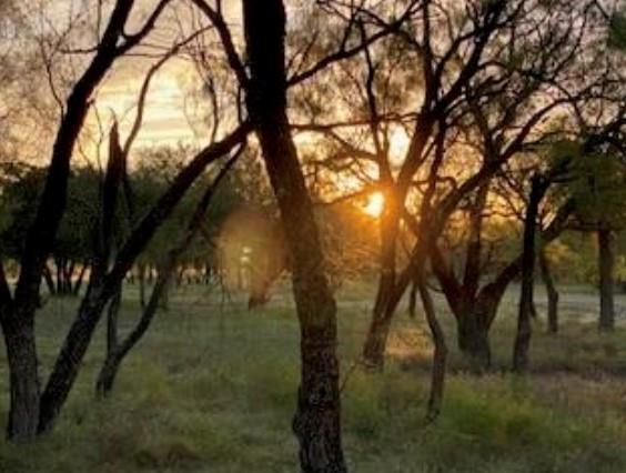 495 Buffalo Creek (Lot 95) Drive Evant TX 76525
