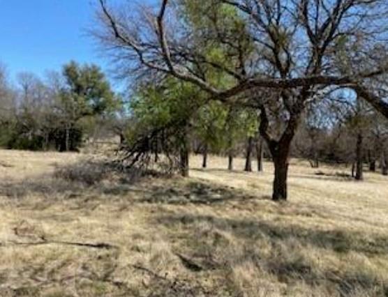 495 Buffalo Creek (Lot 95) Drive Evant TX 76525