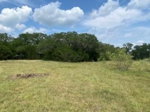 495 Buffalo Creek (Lot 95) Drive Evant TX 76525