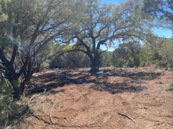 495 Buffalo Creek (Lot 95) Drive Evant TX 76525