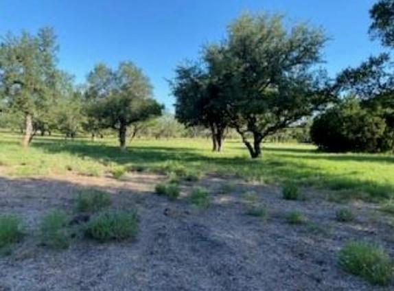 495 Buffalo Creek (Lot 95) Drive Evant TX 76525