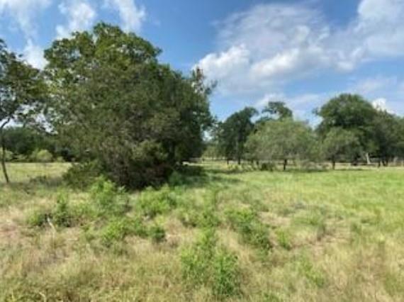 495 Buffalo Creek (Lot 95) Drive Evant TX 76525
