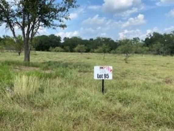 495 Buffalo Creek (Lot 95) Drive Evant TX 76525