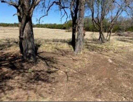 495 Buffalo Creek (Lot 95) Drive Evant TX 76525