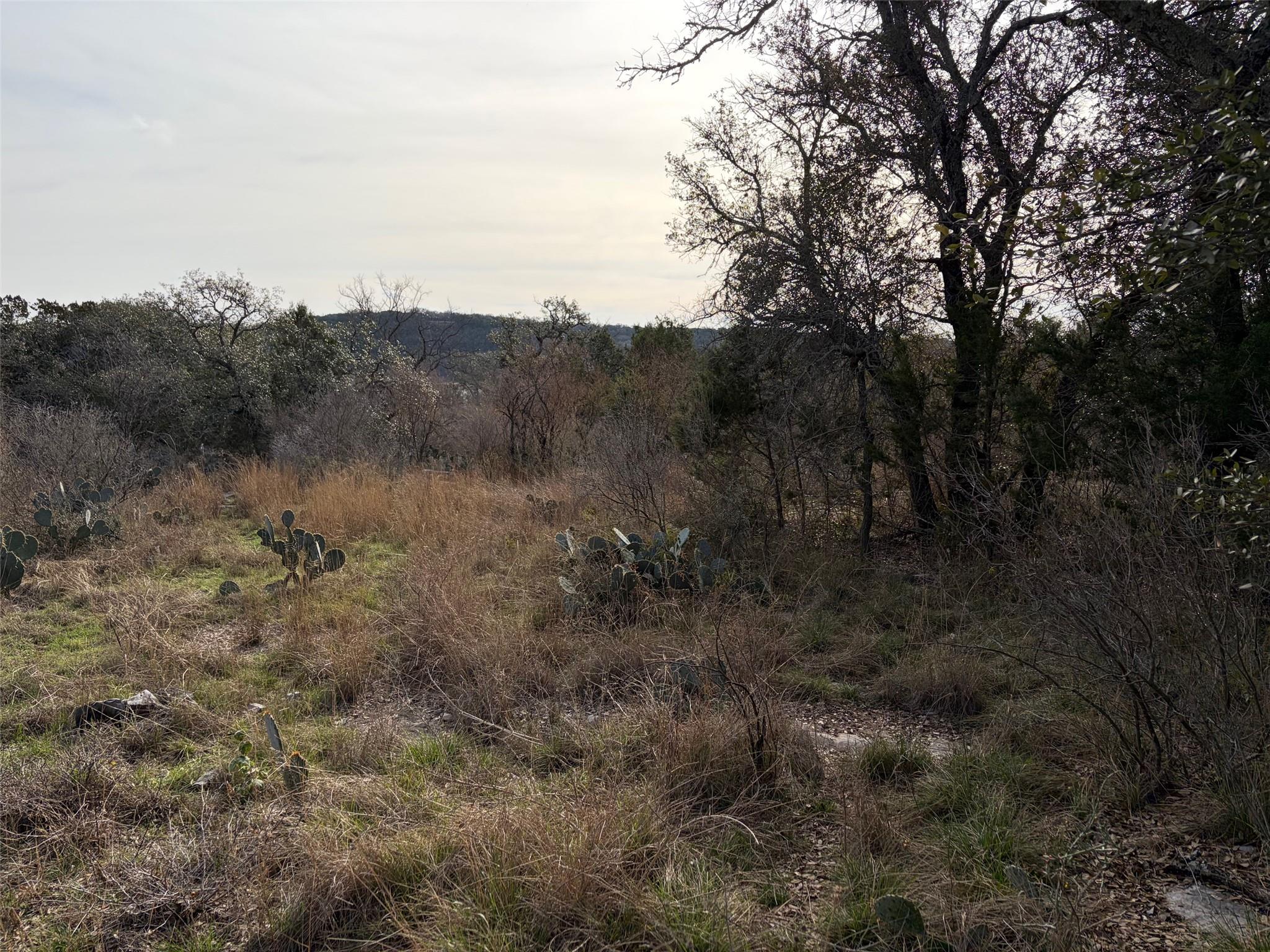 Lot 34 Lakeside Drive Spicewood TX 78669