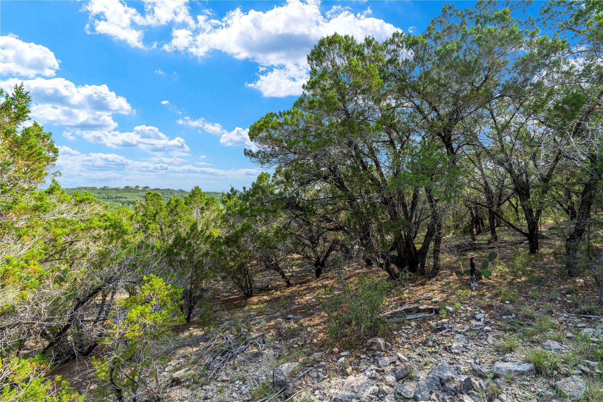 23519 Pedernales Canyon Trail Spicewood TX 78669