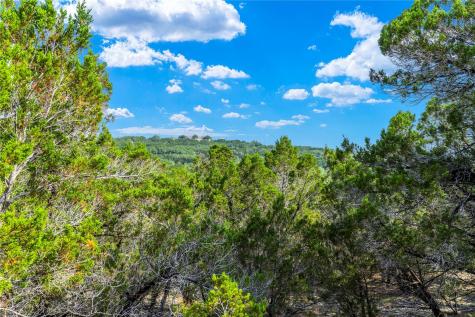 23519 Pedernales Canyon Trail Spicewood TX 78669