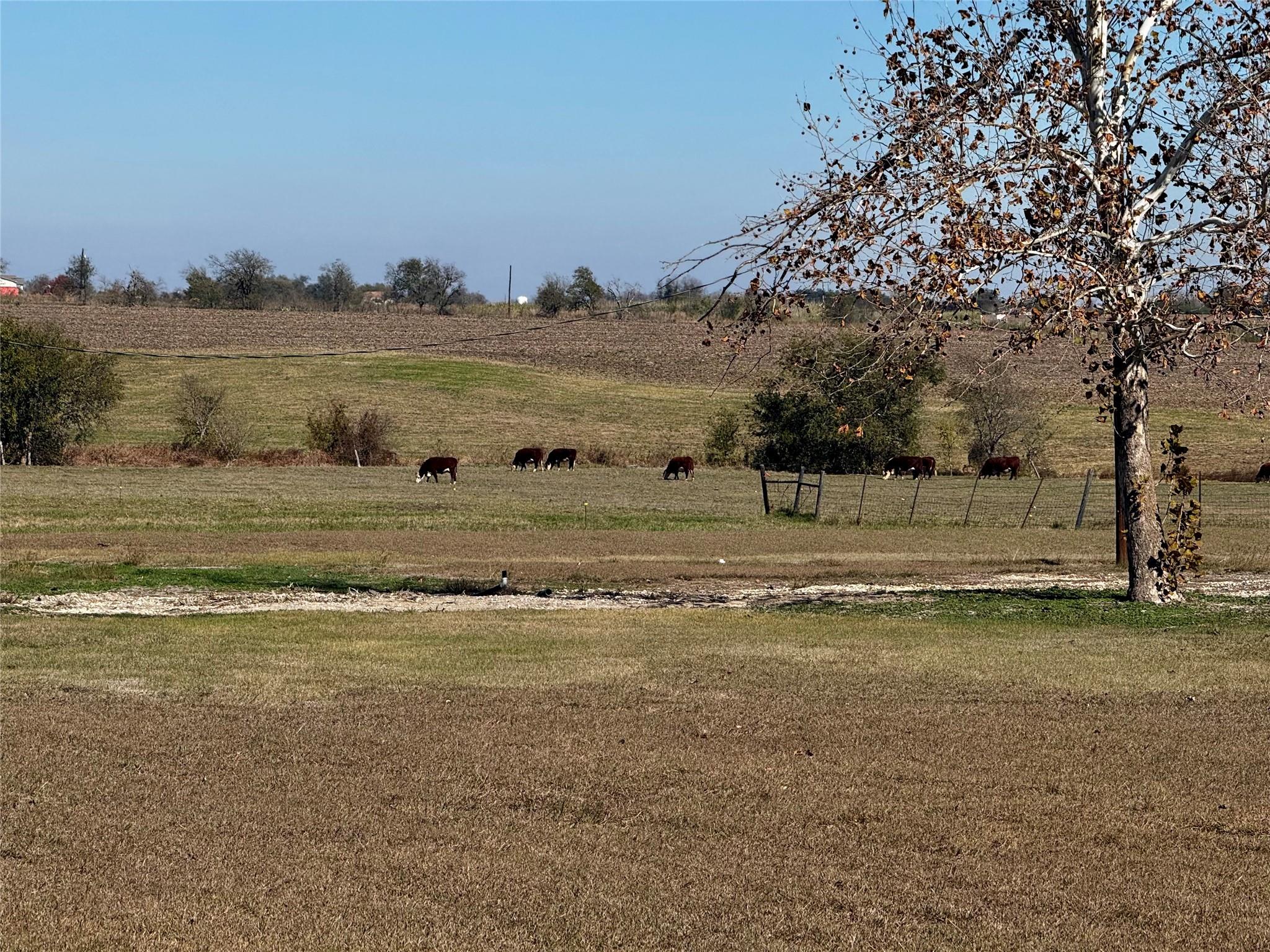 601 County Road 497 Taylor TX 76574