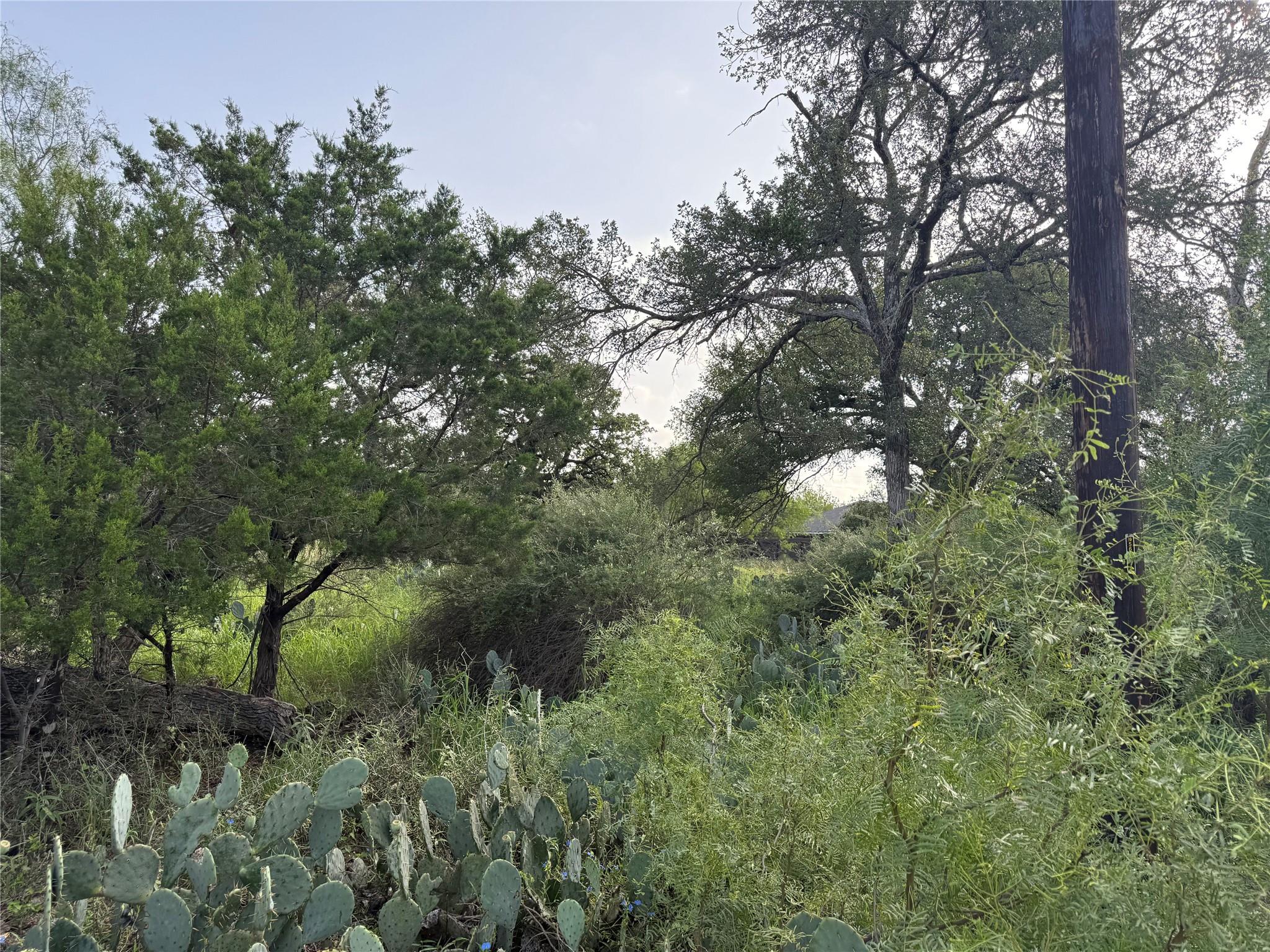 Lot 424 & 425 Oakhill Drive Granite Shoals TX 78654