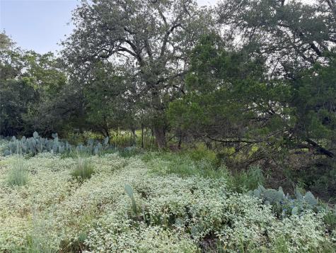 Lot 424 & 425 Oakhill Drive Granite Shoals TX 78654