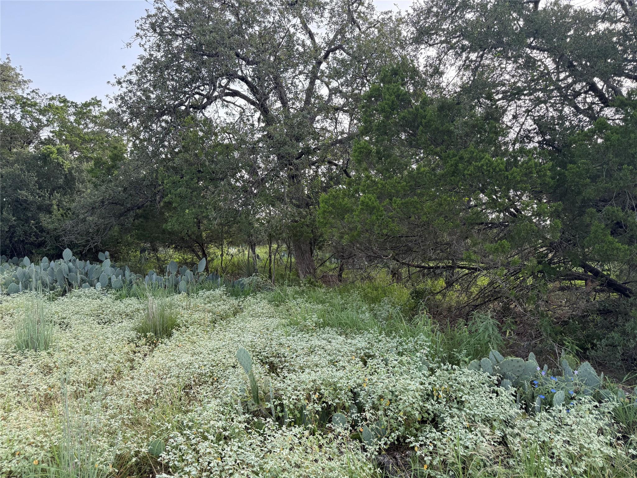 Lot 424 & 425 Oakhill Drive Granite Shoals TX 78654