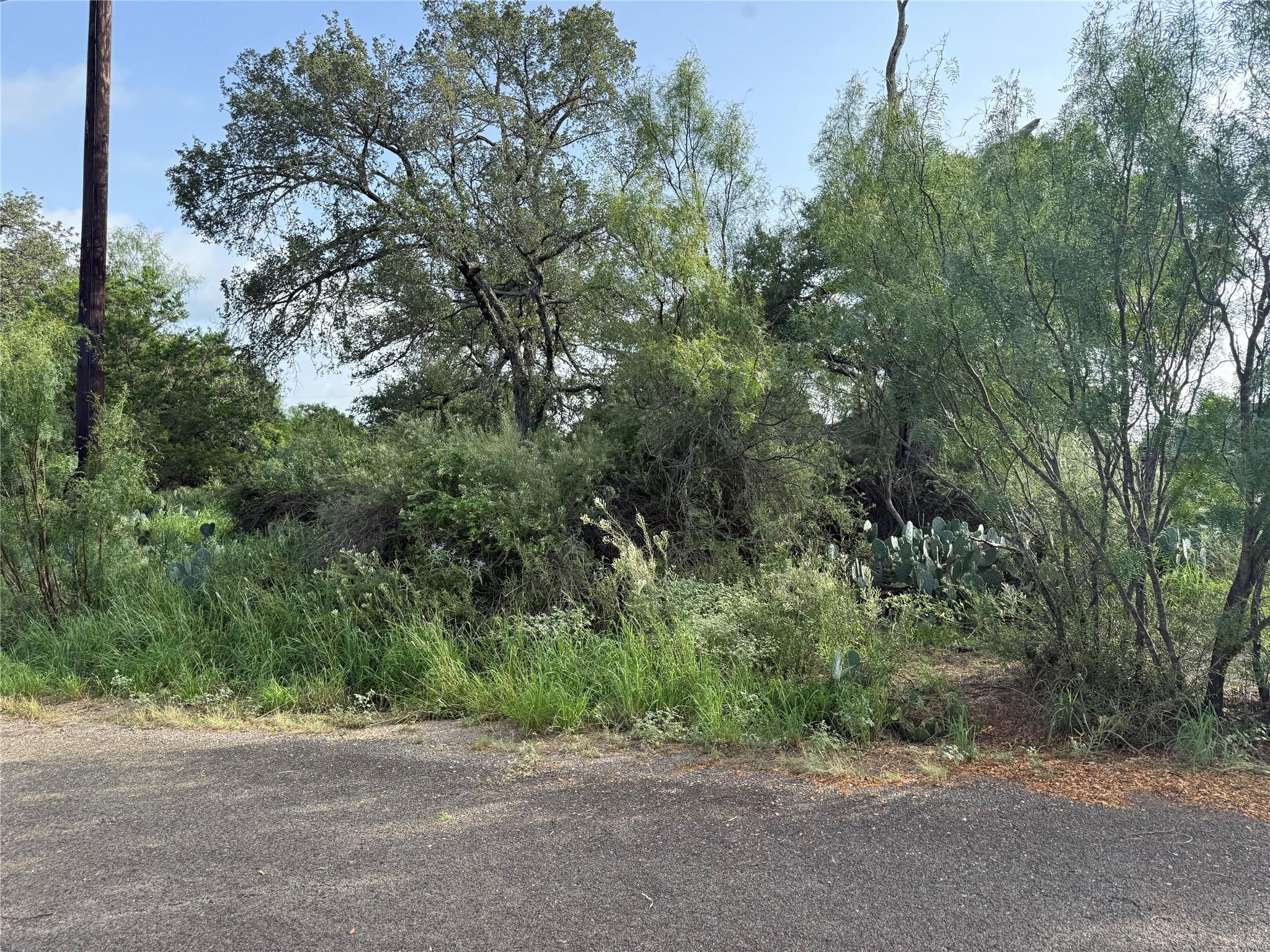 Lot 424 & 425 Oakhill Drive Granite Shoals TX 78654