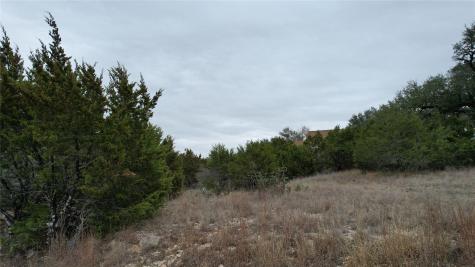 1061 Cougar Drive Canyon Lake TX 78133