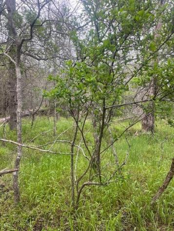 Lot 628 Hilea Court Bastrop TX 78602