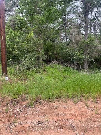 Lot 628 Hilea Court Bastrop TX 78602