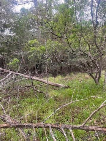 Lot 628 Hilea Court Bastrop TX 78602