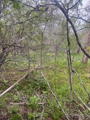 Lot 628 Hilea Court Bastrop TX 78602