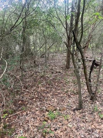 Lot 628 Hilea Court Bastrop TX 78602