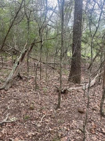 Lot 628 Hilea Court Bastrop TX 78602