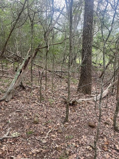 Lot 628 Hilea Court Bastrop TX 78602