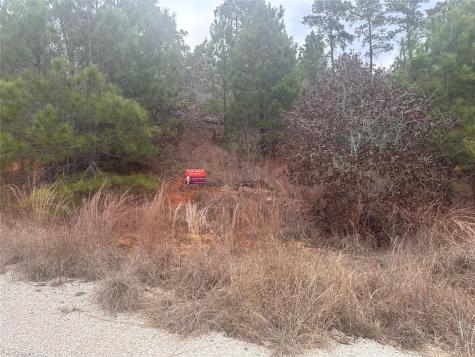 Lot 183 / R32300 Keo Kea Court Bastrop TX 78602