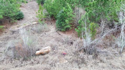 Lot 183 / R32300 Keo Kea Court Bastrop TX 78602