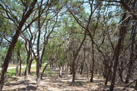 Tbd Lot 17-b Deer Run Wimberley TX 78676